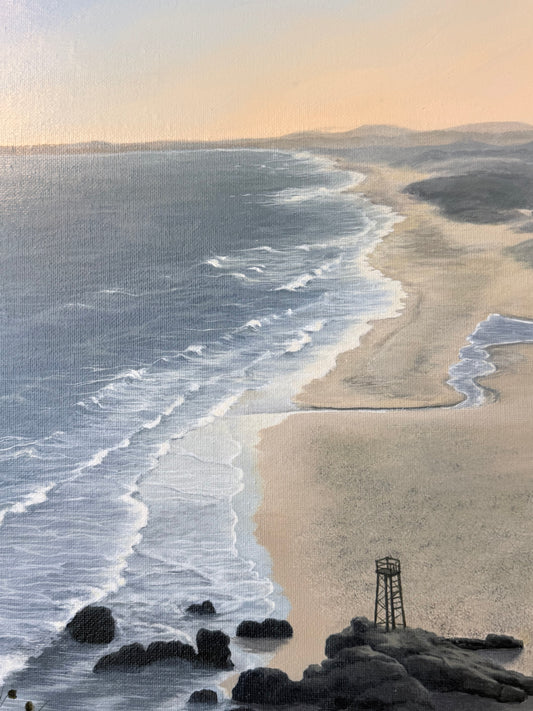 Redhead Beach Shark Tower